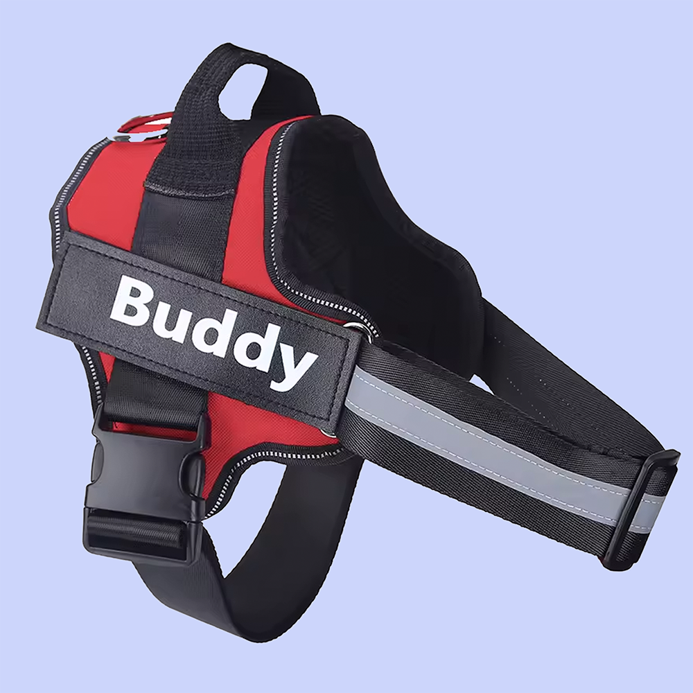 Pet Accessories