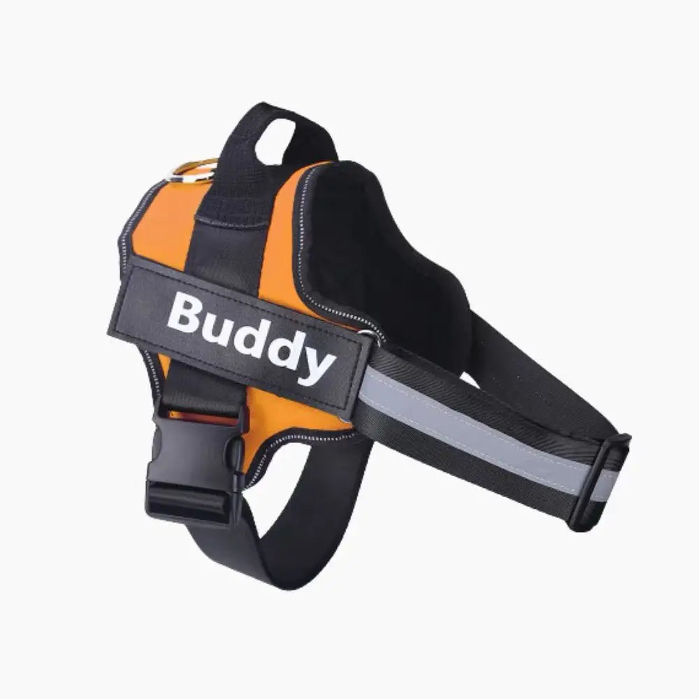 Personalised No Pull Dog Harness